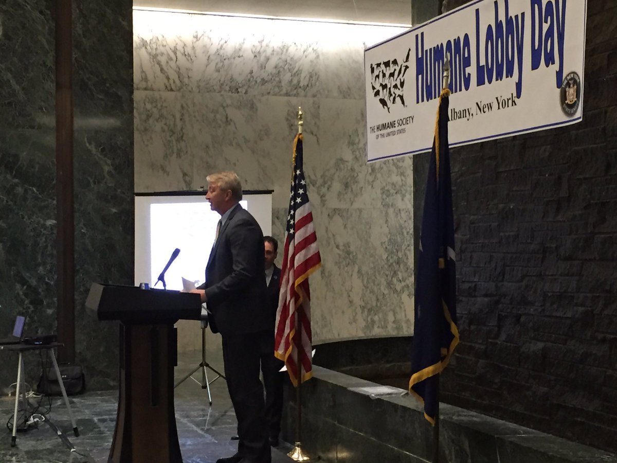 Animal hero <a href="/PhilBoyleNY/">Phil Boyle</a> speaking at @HumaneSociety's #HumaneLobbyDay! #WeLoveAnimalsAndWeVote
