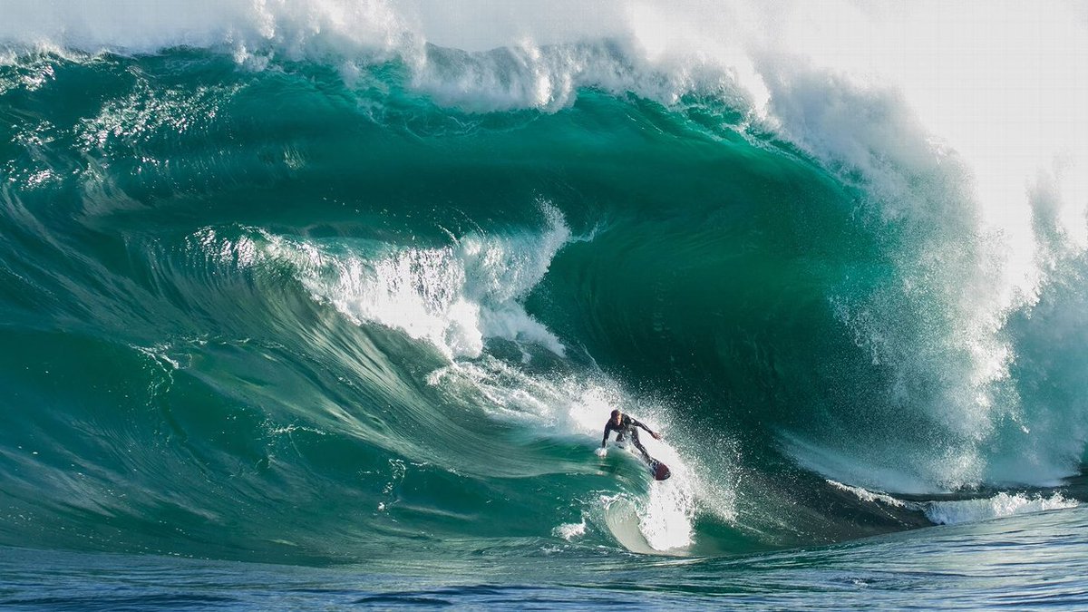 SupportTheGnar's tweet photo. Like if your ready for #Summer #Surfing #BigWave #SupportTheGnar #STG https://t.co/NkxyHlA4oH