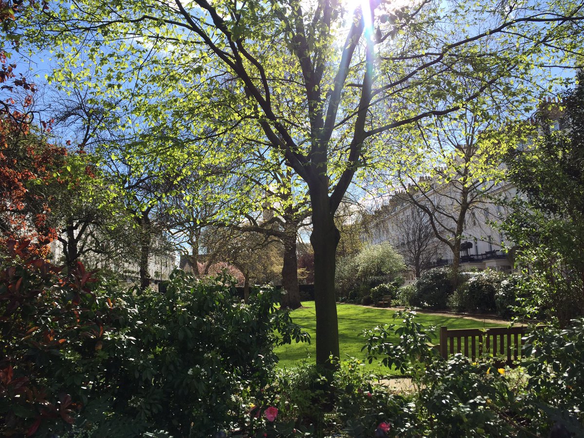 WQProperty's tweet photo. Blue skies in Belgravia ☀️😎🐝🌻🌳 #realestate #LoveLondon #property #belgravia #WQproperty #sun #chestersquare https://t.co/XV7Tfm9D7m