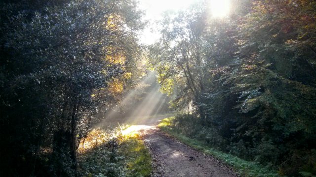 visitlondon's tweet photo. Grab your camera and explore some of London's most beautiful &amp; peaceful spots > https://t.co/vHYGnXRXUV https://t.co/zT7Az3r47b