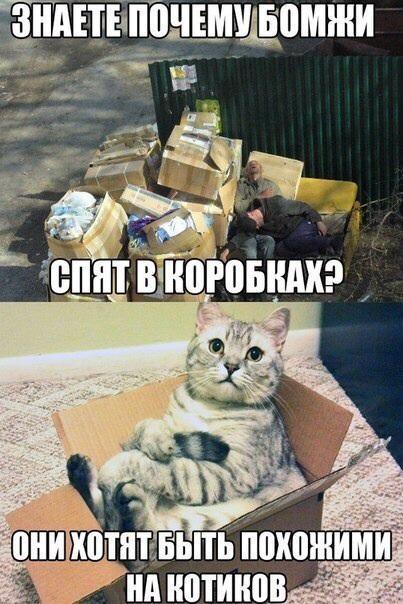 MoscowEscape's tweet image. Улыбнуться😄😄😄