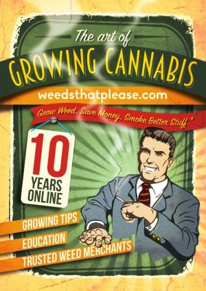kaycemick's tweet photo. https://t.co/jOQKMB1BW1 Career in Cannabis? Learn to grow marijuana for FREE! 10 yrs online w trusted 420 Merchants https://t.co/Amc0AupJ6X