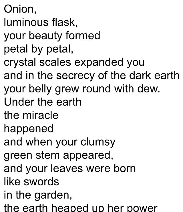 Maria Godoy on Twitter: &ldquo;@NPRFood Love Pablo Neruda&rsquo;s &ldquo;Ode to the Onion