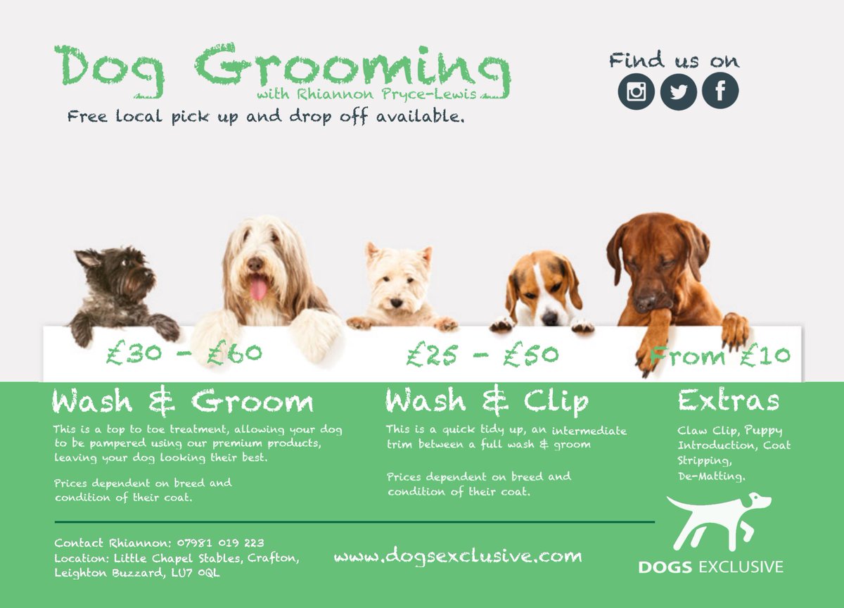 de_grooming's tweet photo. #doggrooming #dogs #ilovemyjob https://t.co/881suqpZGm
