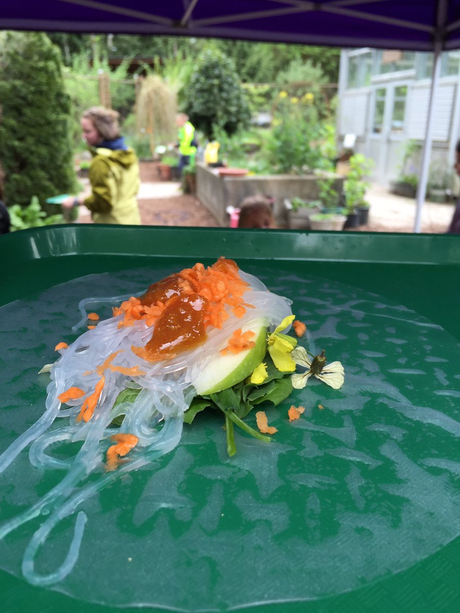 ForestRidgeMS's tweet photo. Soil to snack--Team Thunder harvested herbs &amp; made fresh spring rolls. Yum! #gr5 #Islandwood https://t.co/W11oFSeiOE