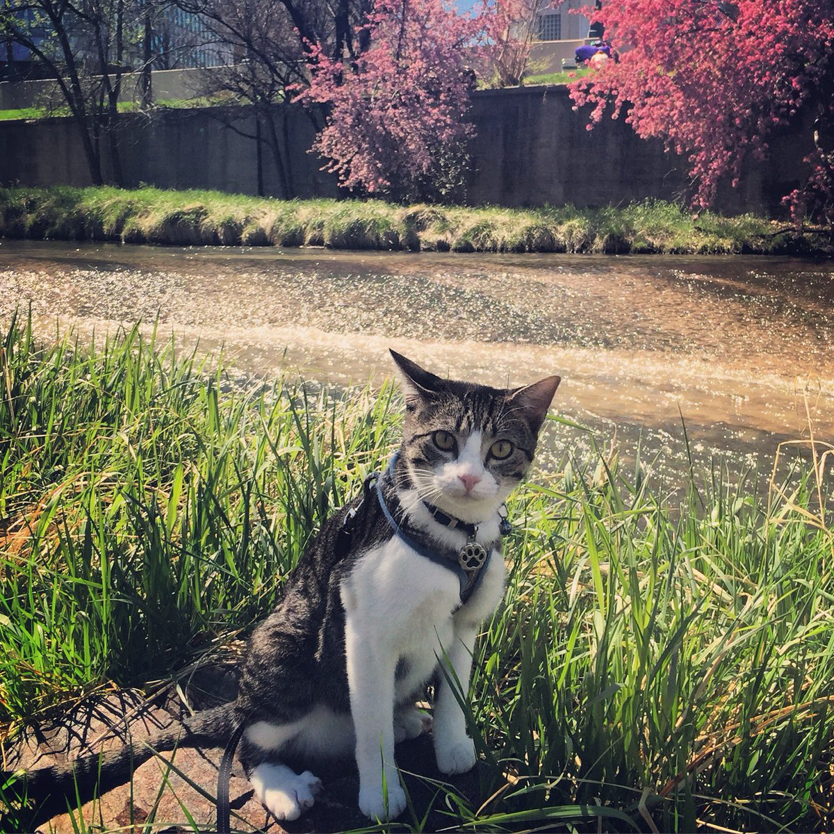 masterabel's tweet image. 🎴