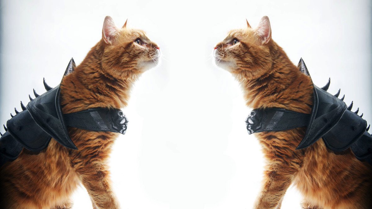 BuffaloMakers's tweet photo. What cat DOESN'T need 3D printed armor? #NationalPetDay #BuffaloMake #DressedtoKill https://t.co/GN2voFKskq