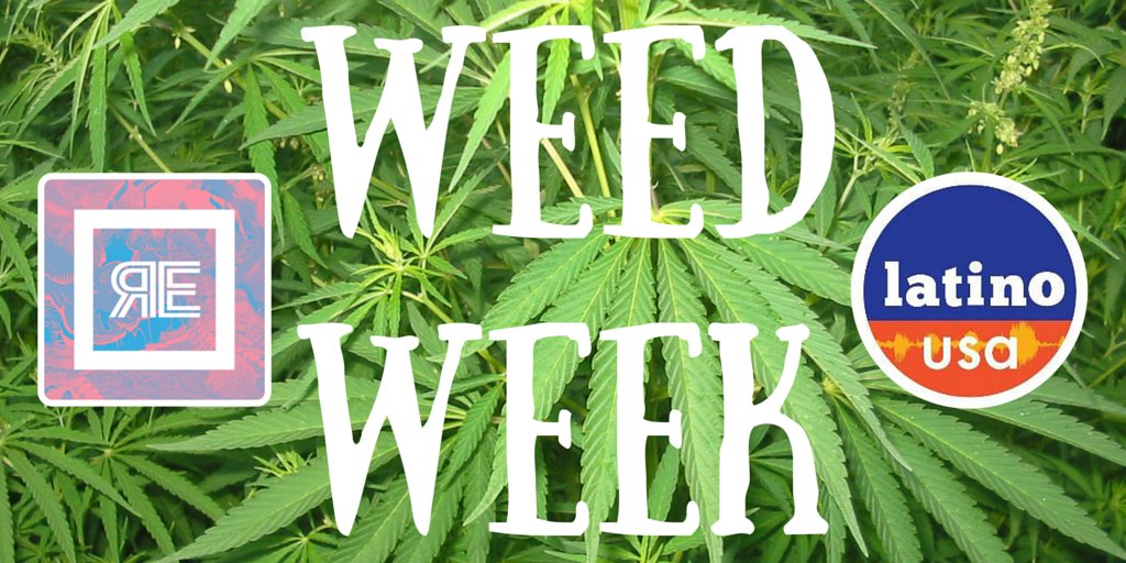 LatinoUSA's tweet photo. As we prep for our April 15 marijuana-themed show, see "Weed Week" w/@REMEZCLA &amp; @LatinoUSA: https://t.co/Jl7PUTnPI6 https://t.co/1dxmFGdp1q