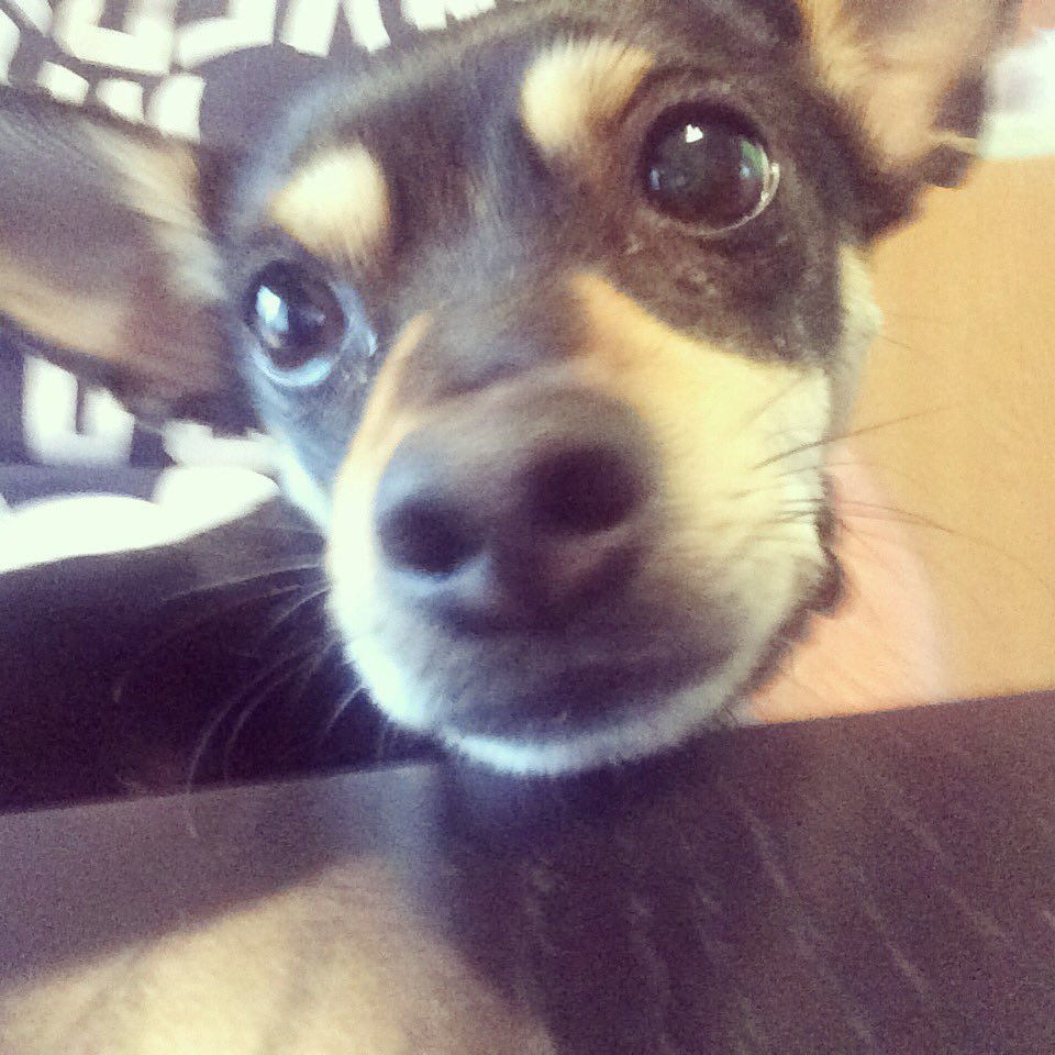 2WeekPod's tweet image. You looking at me? Special guest for Episode 4. #2WeekPod