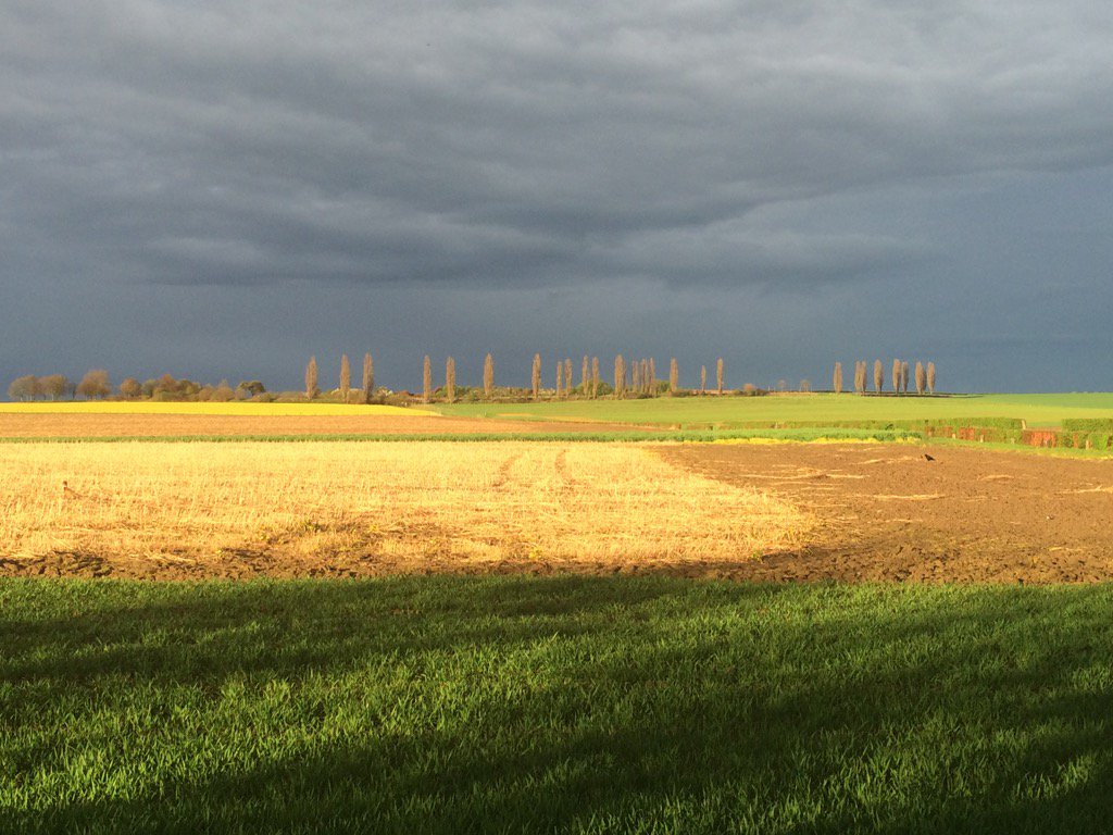 magnifiekZL's tweet photo. Het #Toscaanse landschap tussen #Eys en #Wittem #zuidlimburg #MagnifiekZL https://t.co/3Y5LZhMqdU