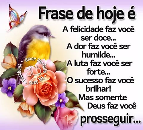 Luzani7's tweet photo. @chirlei_costa https://t.co/H7aE1RQ3Fq