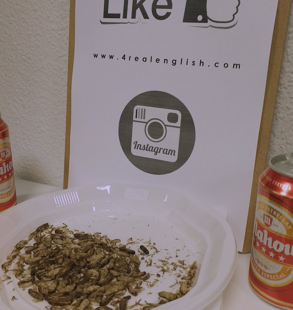 4RealEnglish's tweet photo. We ate #crickets and chocolate with bugs in at #4RealTALKS it was ace! #entomophagy #LoveAtFirstCrunch @WorldEnto https://t.co/f4rbH0bztF