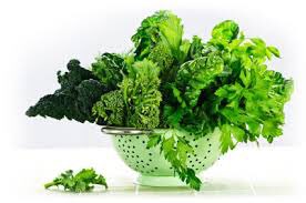 chloroxplast's tweet photo. YASS slay me with those leafy greens #LeafMeAlone #LetsGetChlorazy https://t.co/hZHv1gx9gS