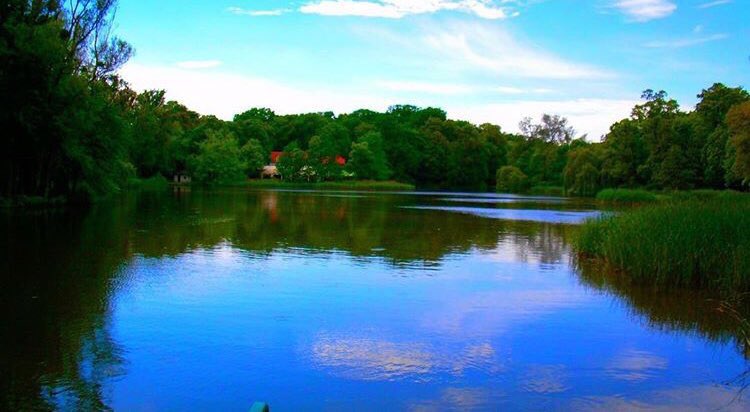 This would such a sweet smoke spot, the water looks so calm 👌🏼 #goodvibes