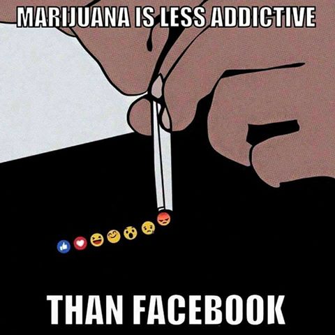 cannabisheutetv tweet picture