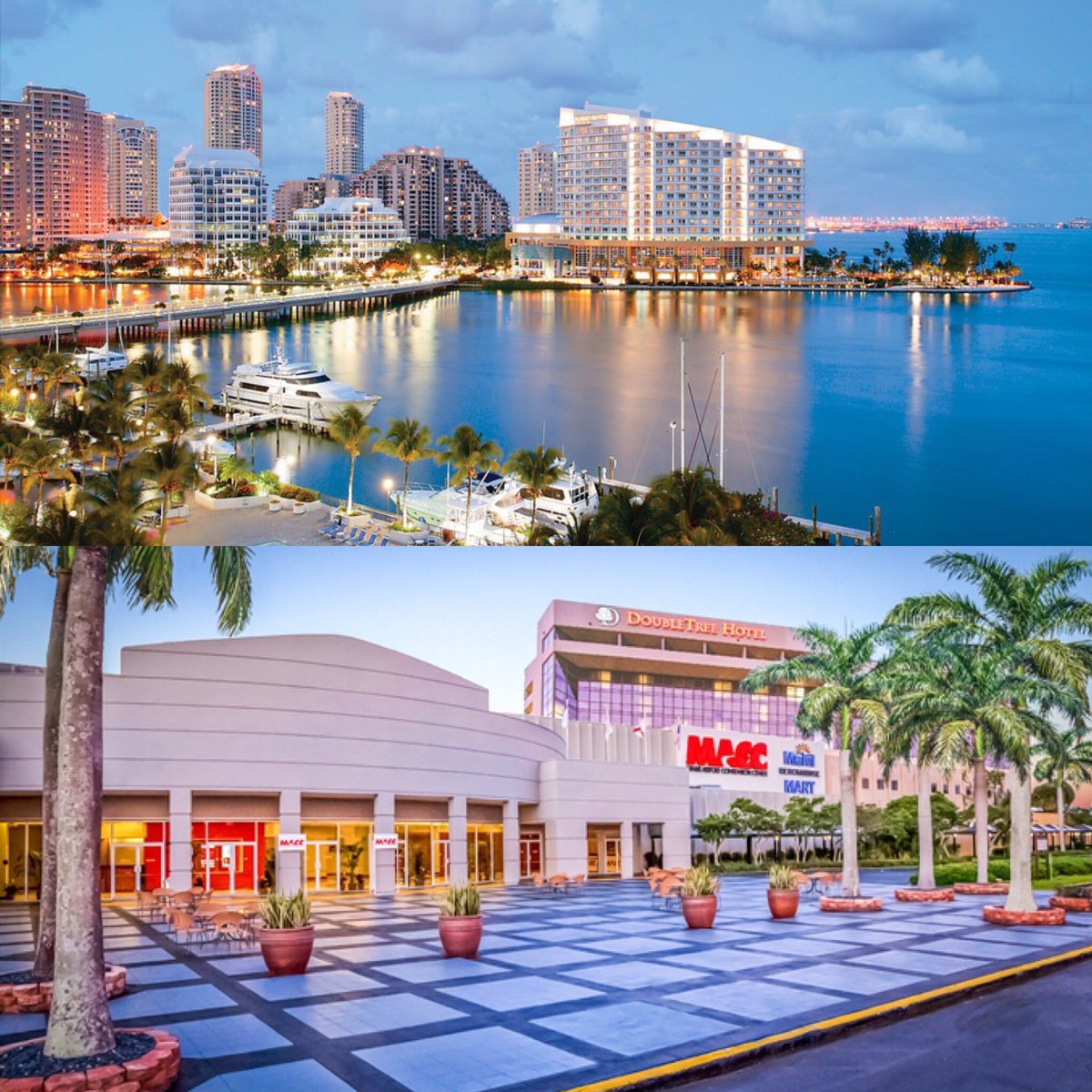venturesnethq's tweet photo. Looking ahead to our fabulous Miami event with a bright smile! #Miami2017 #WomenMeanBusiness #StatusSummit https://t.co/dmSHj2uwaQ