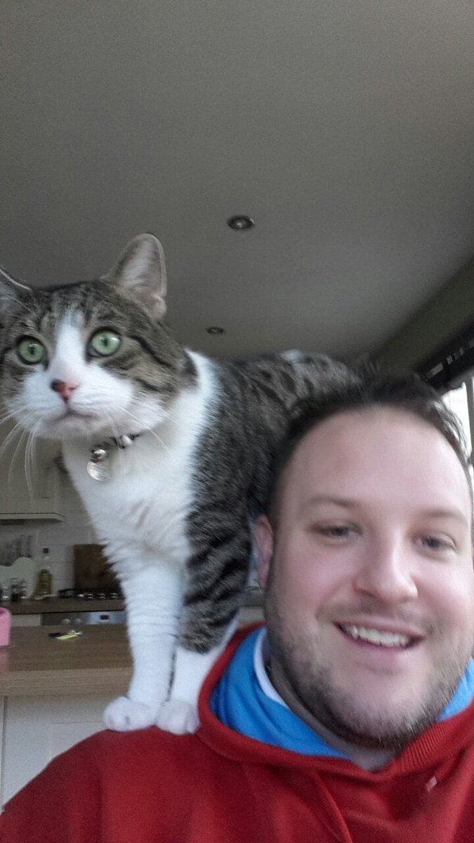 Els_Radders's tweet photo. @FeelGoodPark my husband wanted a cat like a parrot - to sit on his shoulder! GPS winner?! #animalfriendsinsurance https://t.co/sYdtr8eO5l