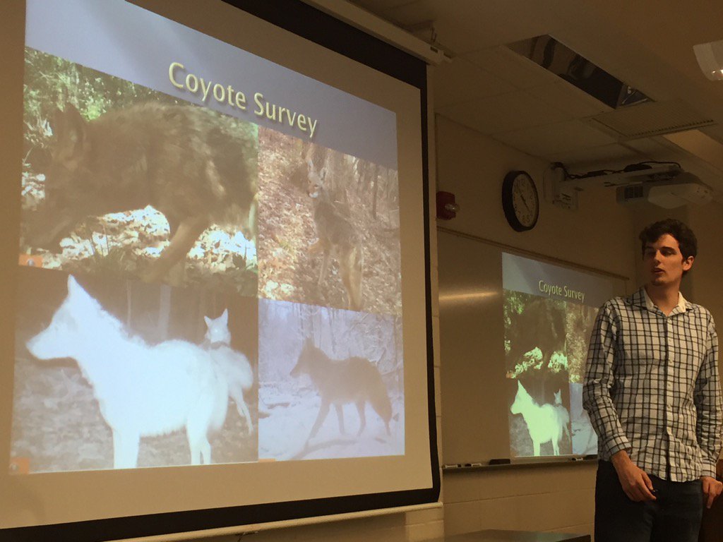 kurtdykstra's tweet photo. Eric Los "Biodiversity Survey" at @TrinityTroll - @TheRealMrBates should be here learning about coyotes #OPUS2016 https://t.co/ZP6wkyQiQB