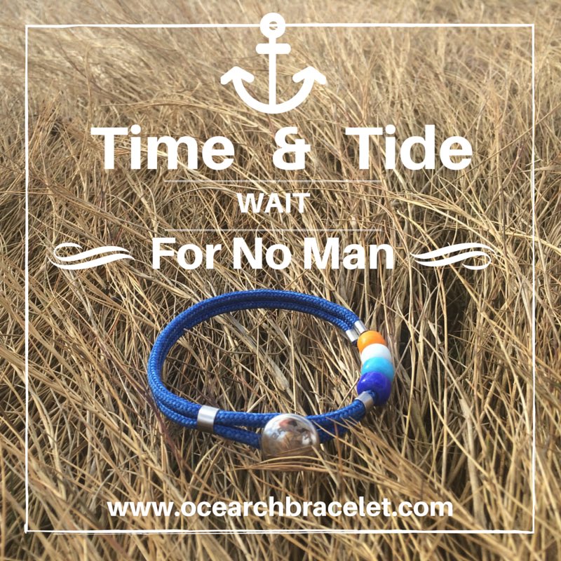 Konectidy's tweet image. Support .@OCEARCH and you can help create a rising tide with education and research  bit.ly/1ROzcMk #sharks