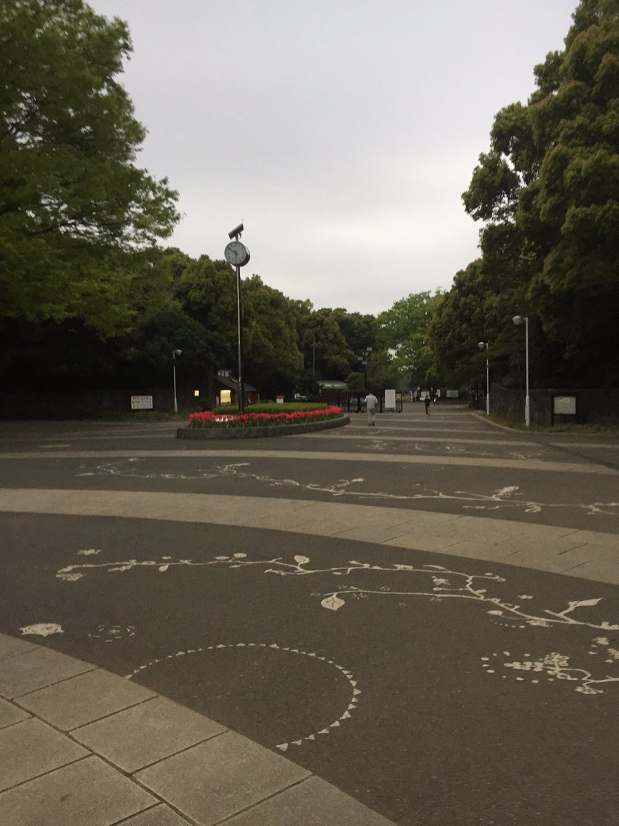 Adamrob35's tweet image. Early morning run through harajuku into yoyogi park in Tokyo
