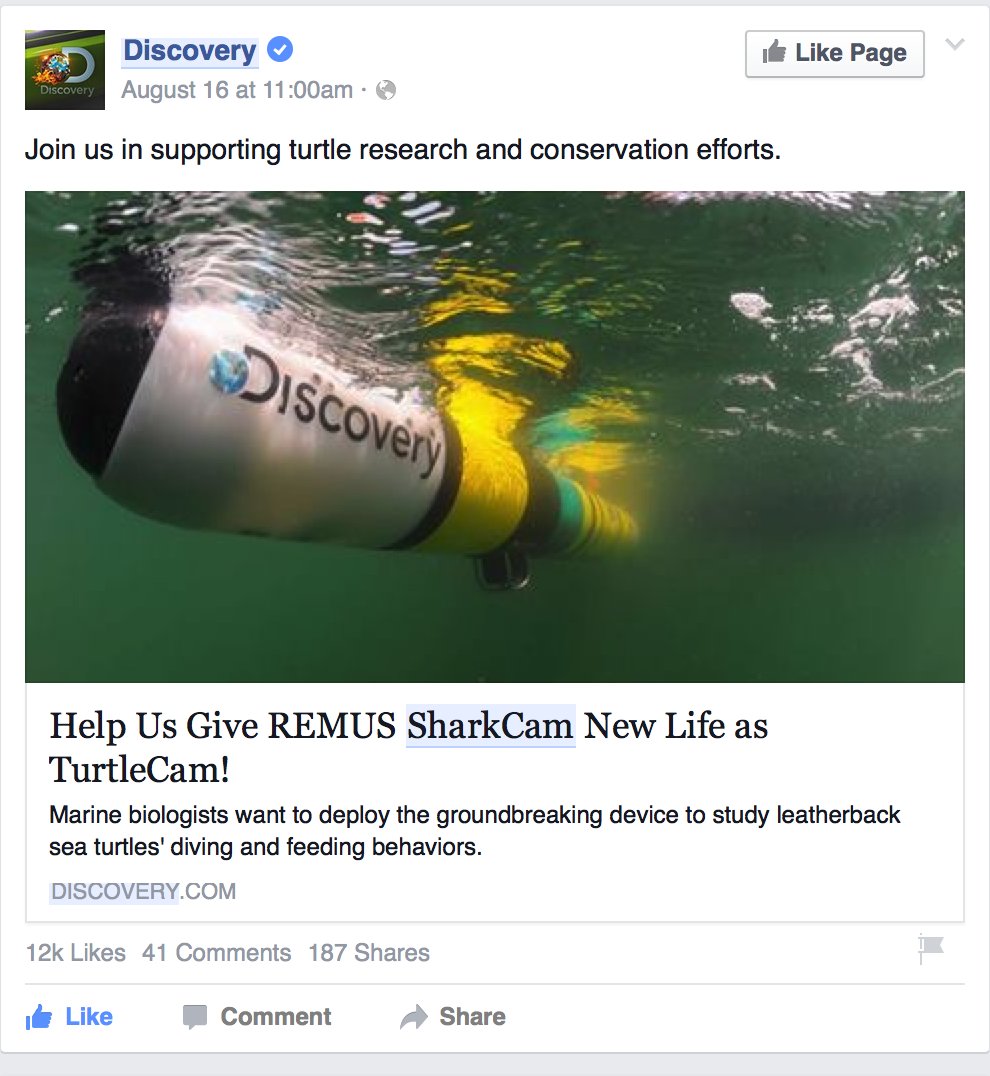 amylkukulya's tweet image. Project #TurtleCam wins a grant to study #leatherbacks in NE &amp;amp; #Hydroid donates $5K to support sea turtle research