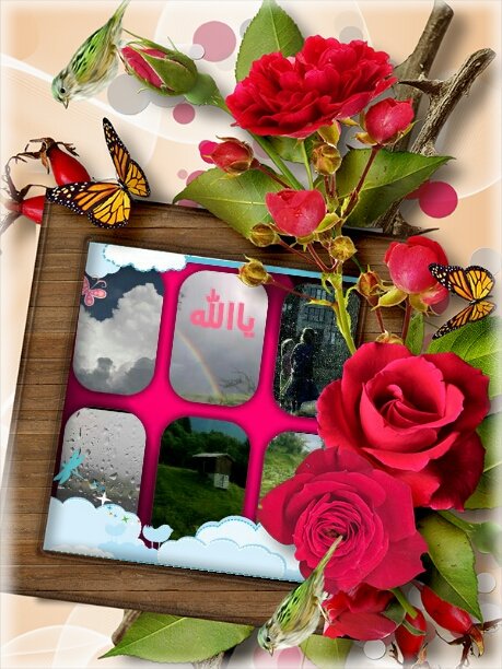 ✨ النرجس الزهراني✨ tweet media