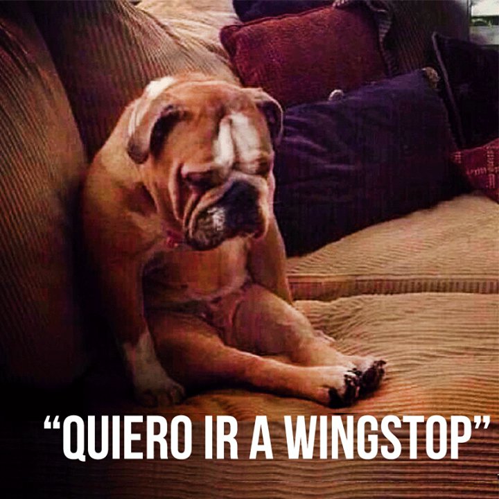 WingstopMexico's tweet photo. RT si estas asรญ en este momento.... ๐ด๐๐! #WingstopMiAmor #FanWingstop #WingstopMeEncanta https://t.co/c38YpDLKaC