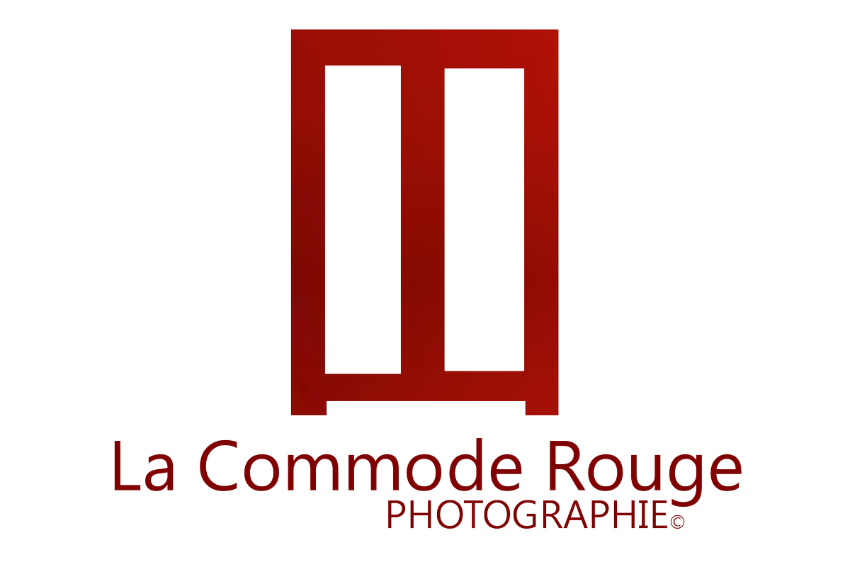LaCommodeRouge's tweet photo. #model nu rechercher à #Montreal pour #photographie . https://t.co/Af0vFqJZS0 https://t.co/VwJCpfdqXZ