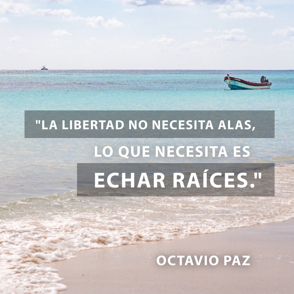 CarlosJoaquin's tweet photo. Tenemos los cimientos para construir un #QuintanaRoo libre con oportunidades y esperanza para todos. https://t.co/M4uWgfeLgD