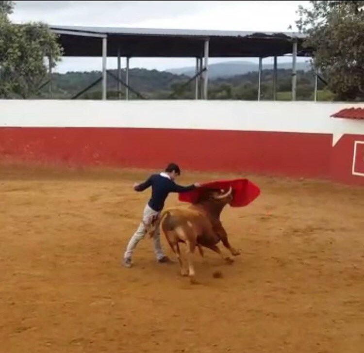 . <a href="/francastillo6/">Curro Castillo</a> y @Odei_Ruiz realizando la tapia ante dos utreros de Guadalmena.