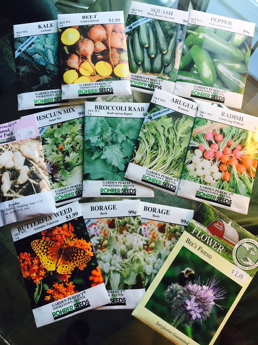 AHoneyBeeTree's tweet photo. Picked my #seeds for this year! Some for me &amp; some for the #bees ! https://t.co/hR3MXMJoK9