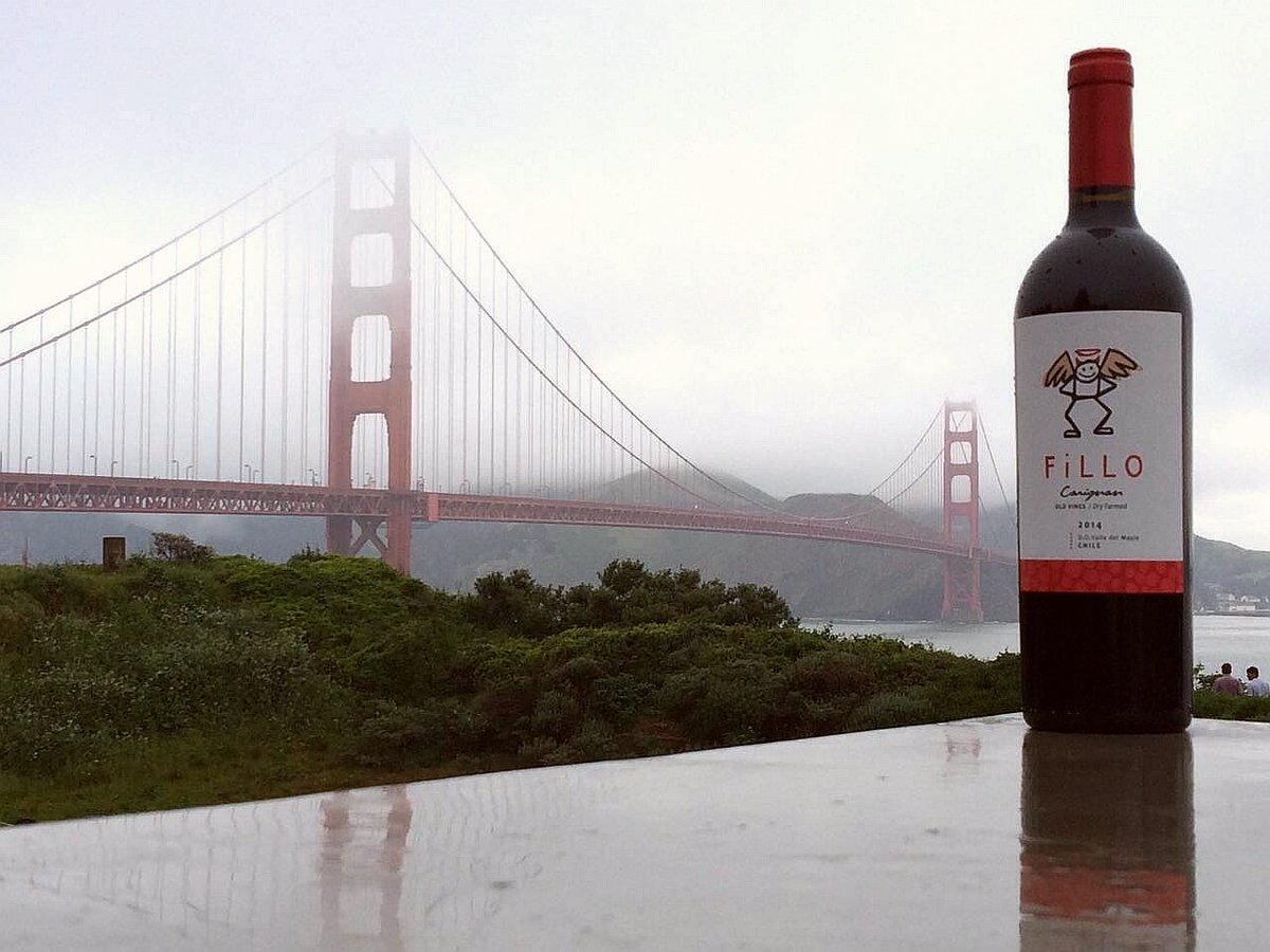 BoWines's tweet photo. Nueva vendimia en marcha pero FiLLO 2014 sigue su viaje @movichile  #cariñena #Goldengate#USA #california#winelovers https://t.co/CkCXfbPg1Q