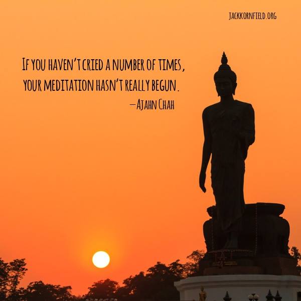 JackKornfield's tweet photo. True maturation on the spiritual path requires that we discover the depth of our wounds. https://t.co/XSCQjME6N9 https://t.co/xuqpNTCbm1