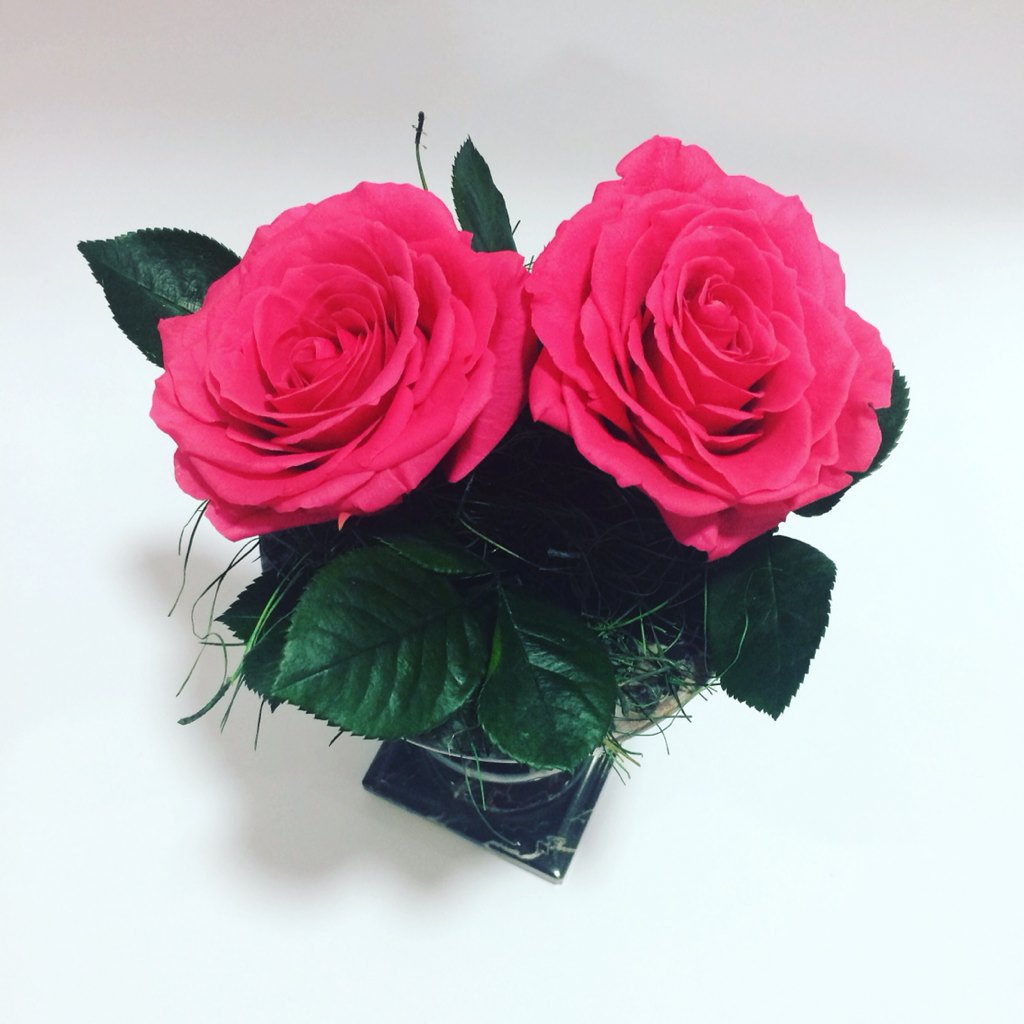 ROSALEDA_BDF's tweet photo. Decoramos tus floreros en rosas presevadas 💗💗💗 Color fucsia 😍😍 @rosaleda_boutiquedeflores Inf: 3105352025 https://t.co/r303BoQaoV