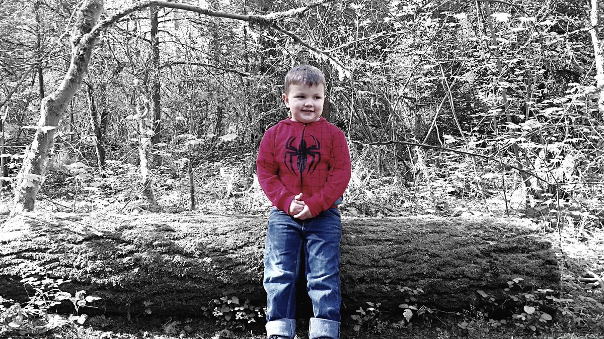 GMixon87's tweet photo. My son loves loves going on hikes and exploring #proudfather #prideandjoy #fatherhood #FatherSon https://t.co/tZaHpOiQOS