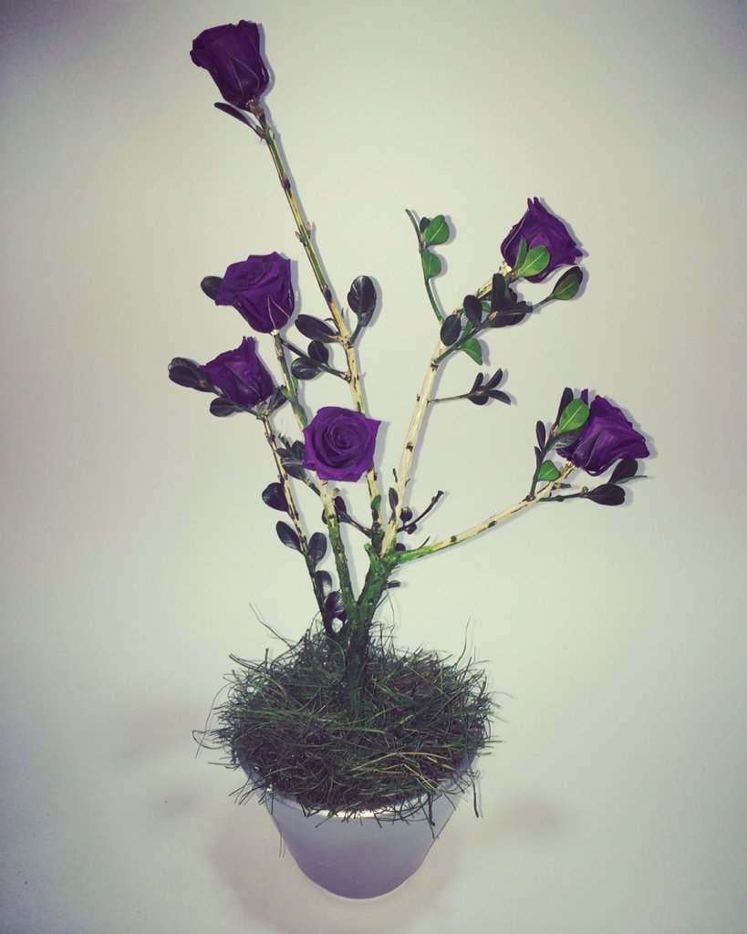 ROSALEDA_BDF's tweet photo. Arreglo rosa baby, color Morado 💜💜💜 @rosaleda_boutiquedeflores  Inf: 3105352025 https://t.co/mUFeBUJ6YA