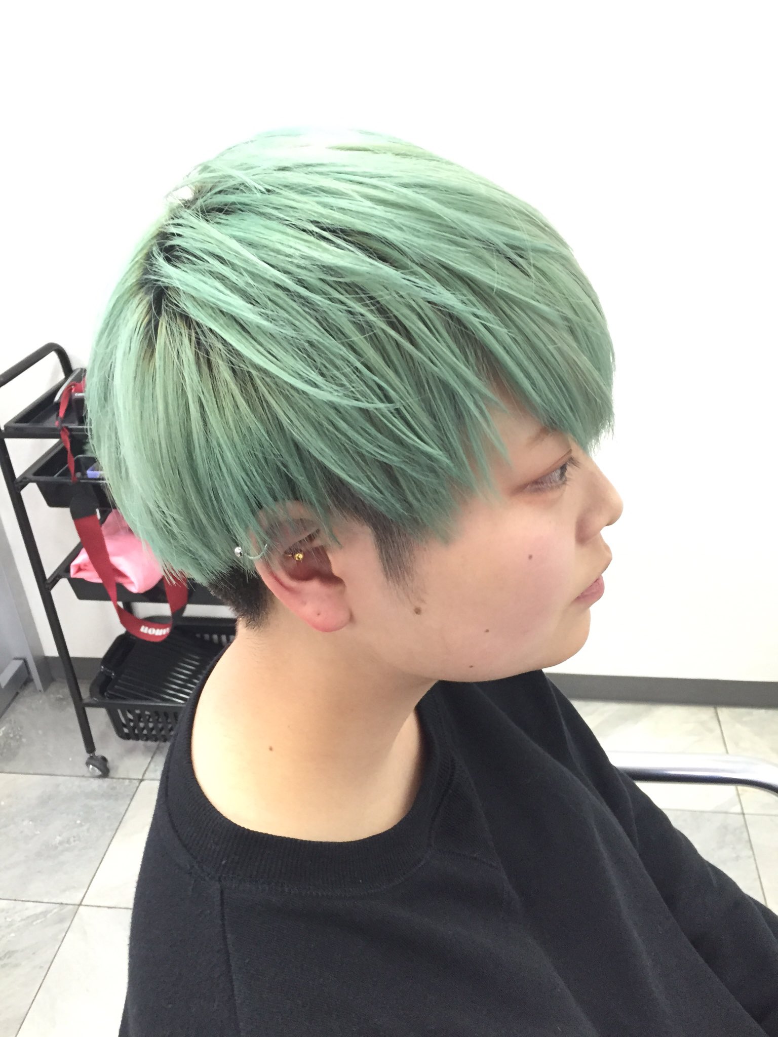 ストロベリーロックス 赤羽カラー専門店 Al Twitter 本日のヘアカラー カラーメンテナンスで色味を入れ直したよ パステル系のアイスミントグリーン ベースが出来上がってれば間で色だけ入れることも可能 チョコミント パステルカラー ミントグリーン 派手