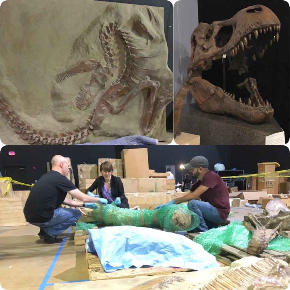 ACC Newsroom tweet media