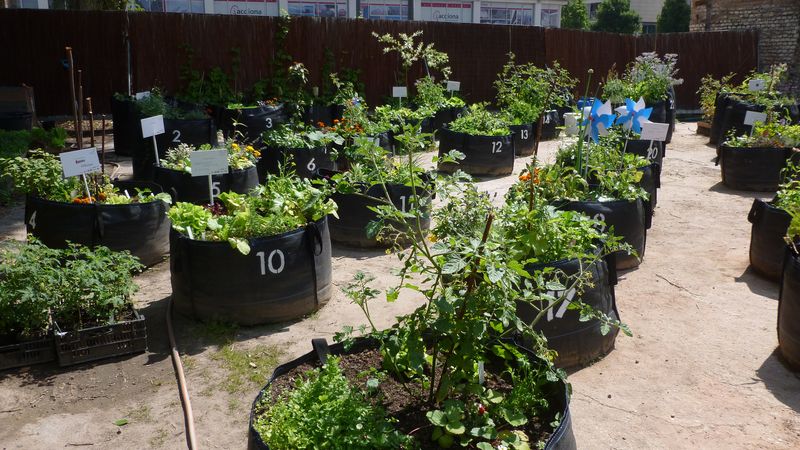 This article has some really good tips for space-starved urban gardeners. 
ow.ly/10B73Y
#UHS #urbangarden