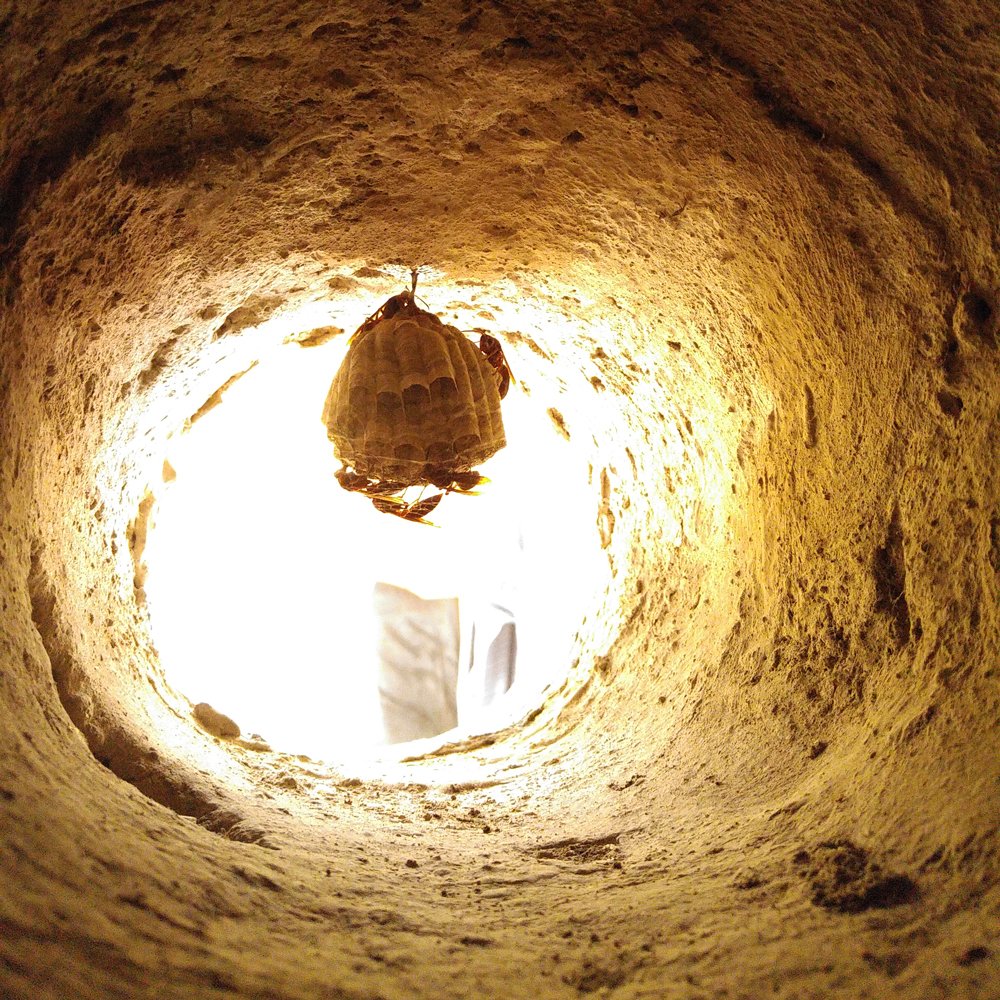 Felix Siauw tweet media