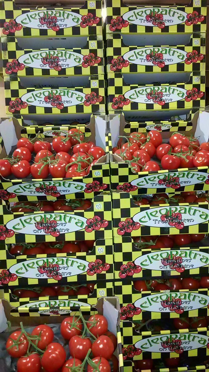 DoleWolves's tweet image. She's back....
Cleopatra 
The best @TotalPWolves