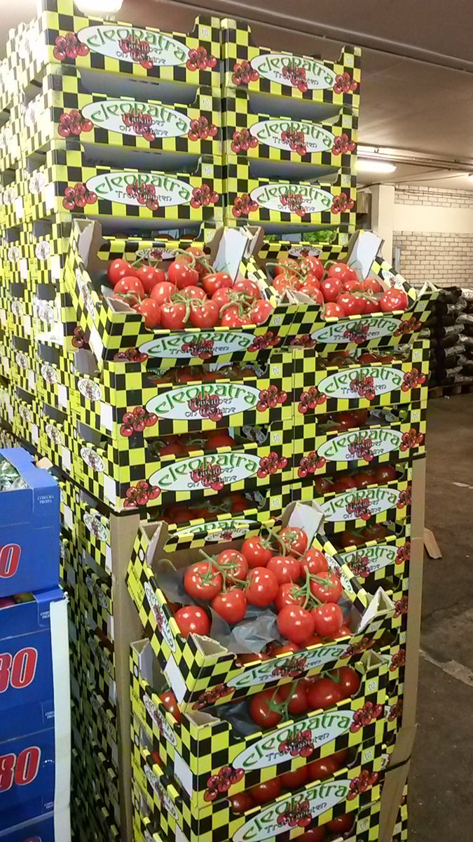 DoleWolves's tweet image. She's back....
Cleopatra 
The best @TotalPWolves