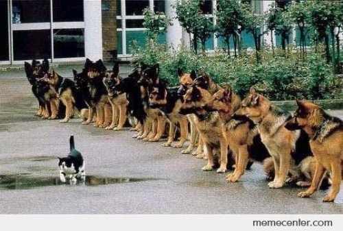 We need living warriors not dead heroes.