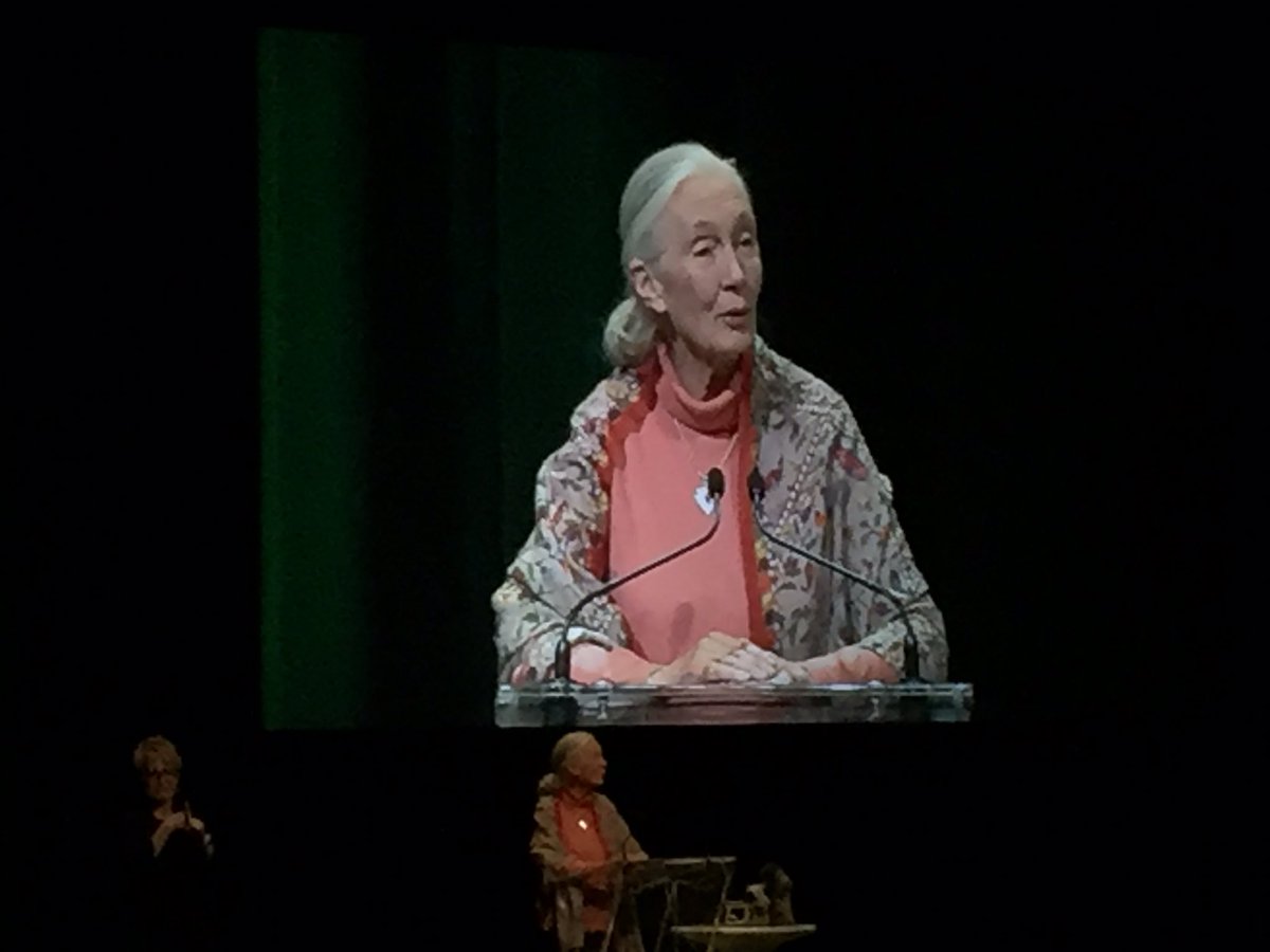 GreenSceneTO's tweet image. Journey from the Jungle #JaneInspiresMe