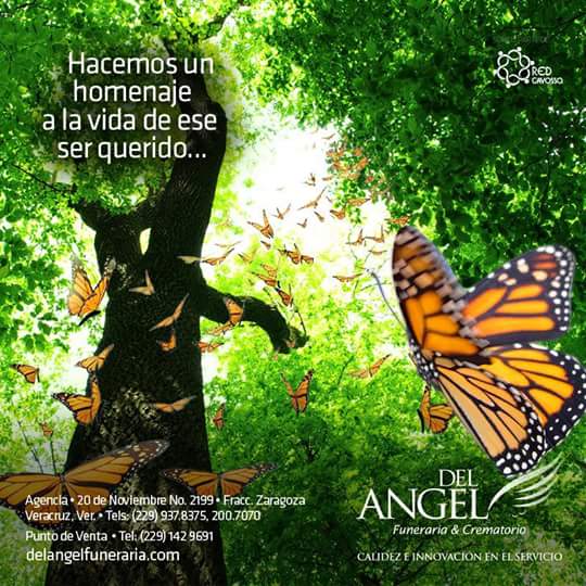 #Veracruz #BocadelRio