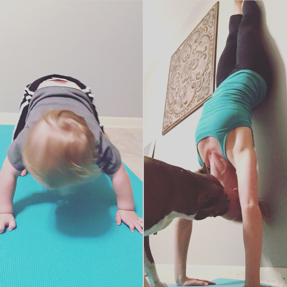 KristenMills4's tweet photo. #yoga #dogmom #toddlermom #health #wellness #fitmom #nitroxtreme https://t.co/Jr2zdtLqgu