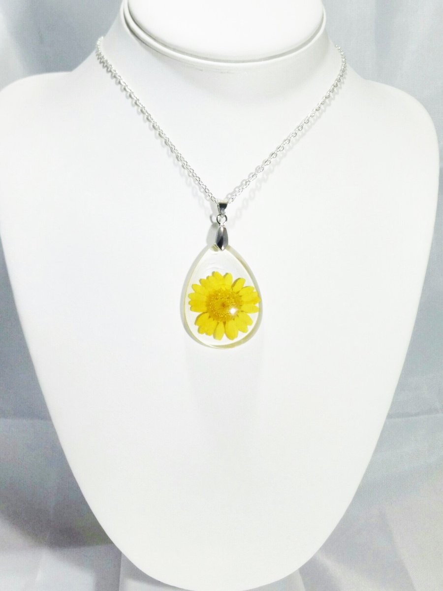 VVCreations2's tweet photo. Real Daisy Necklace Yellow Daisy Pendant by VeeVeesCreations https://t.co/W2MCgzaYeR #etsymntt #jewelry #mothersday https://t.co/xSyxghEl9I