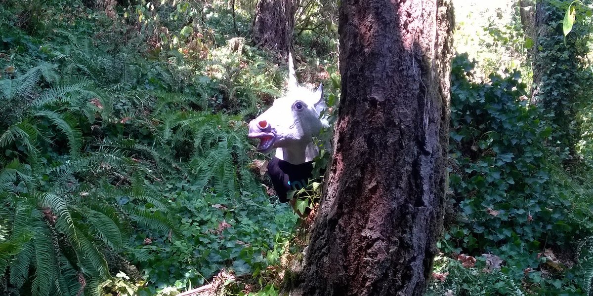 nuunhydration's tweet image. They say when you spot the elusive Nuunicorn, a PR is just around the corner. #nuunlife