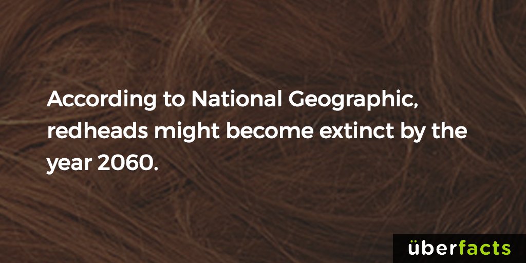 EmaleeMongno's tweet photo. “@UberFacts: Redheads... https://t.co/sq9F9xEgB6” bye @KGtheGINGER21