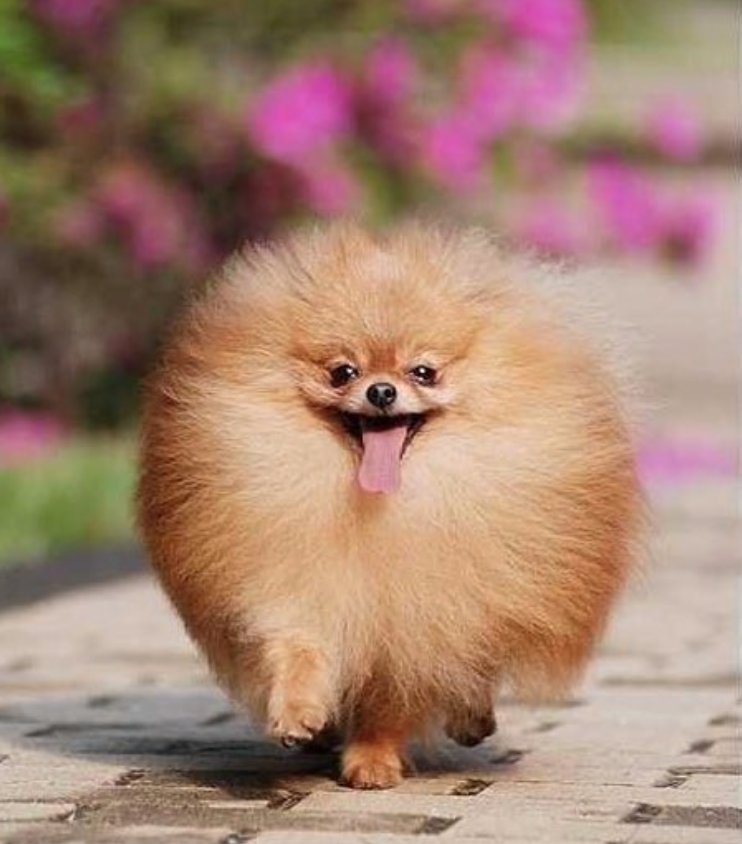 graceeleyae's tweet photo. When you think you have a good hair day until you step outside and . . . :( #GirlProblems || #geSlaps https://t.co/KcYEPaZr4r